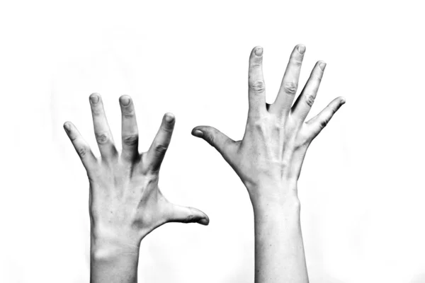 Hands up! — Stock Photo, Image