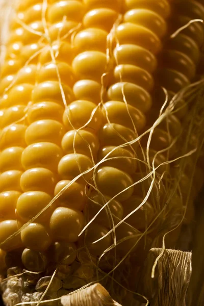 Кукуруза Лицензионные Стоковые Изображения