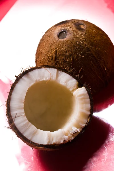 코코넛 스톡 사진