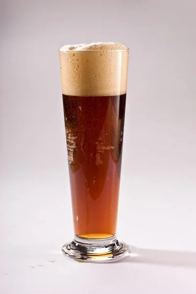 Beer — Stock Photo, Image