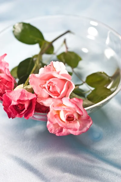 Rosas por amor — Foto de Stock