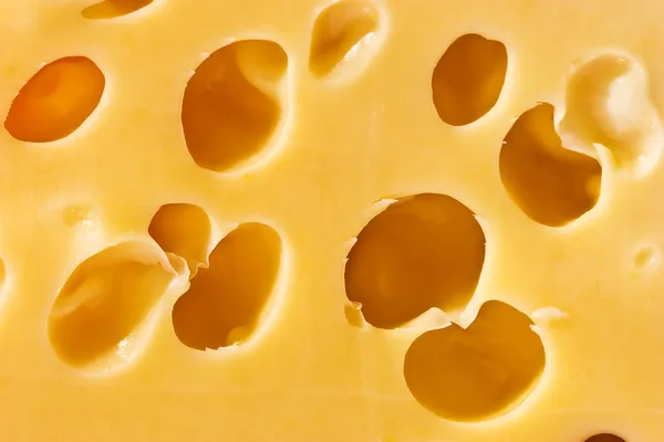 Textura de queso —  Fotos de Stock