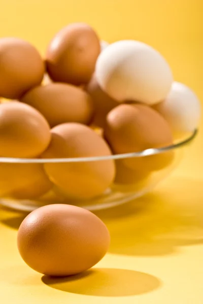 Яйцо — стоковое фото