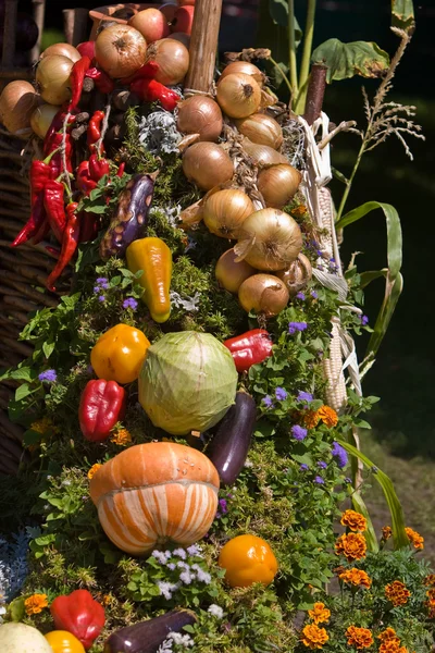 蔬菜装饰 — 图库照片