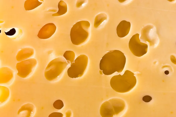 Textura de queso —  Fotos de Stock