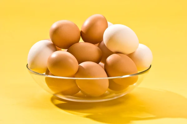 Αυγό — Φωτογραφία Αρχείου