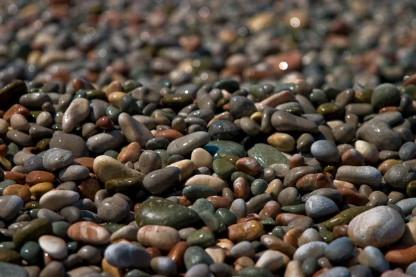 Морі pebblees — стокове фото