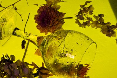 melankolik natürmort