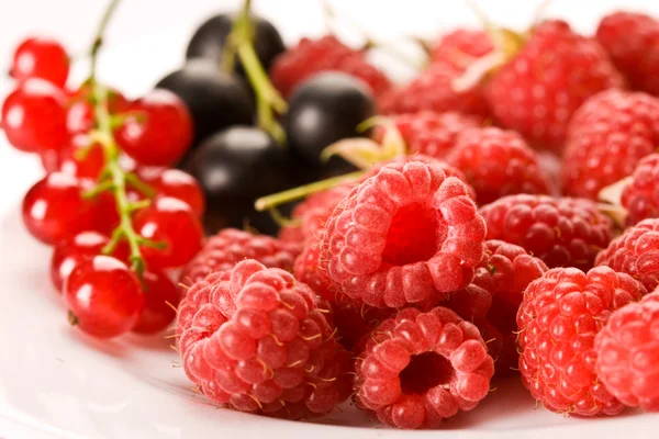 Raspberry and currant — Stock Photo, Image