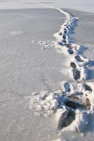 Donmuş adımları — Stok fotoğraf