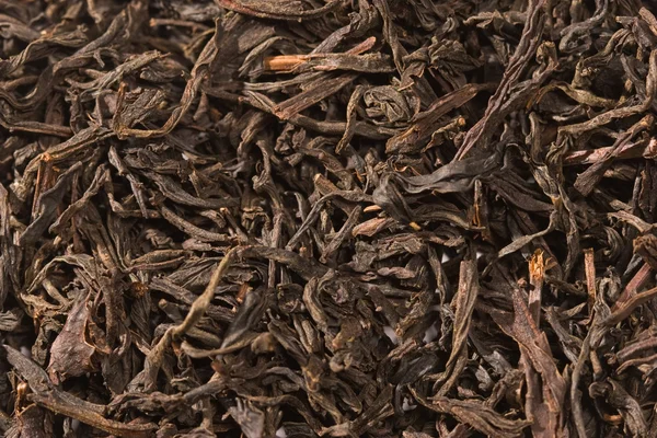Листья чая — стоковое фото
