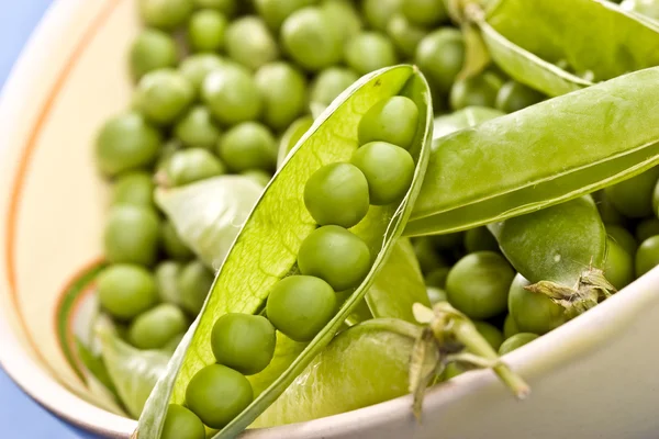 stock image Pea pod