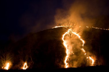 ateş