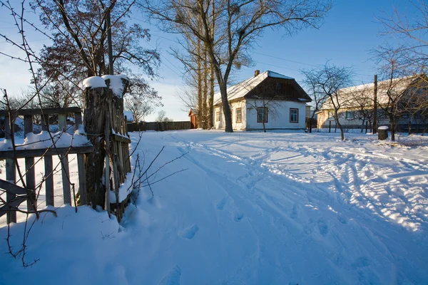 stock image Winter