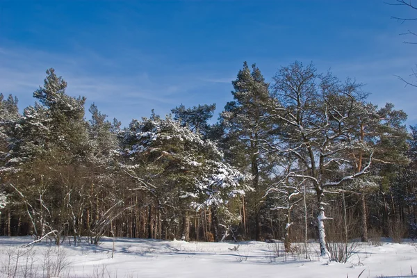 Paysage hivernal Images De Stock Libres De Droits