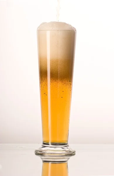 Light beer — Stock Photo, Image