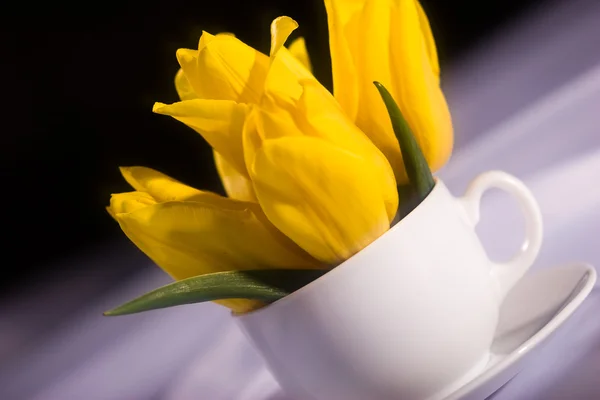 Still life with tulips — Stock Photo, Image