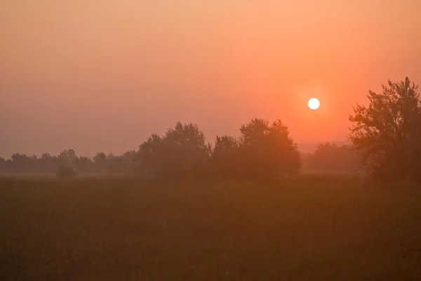Foggy lever de soleil — Photo