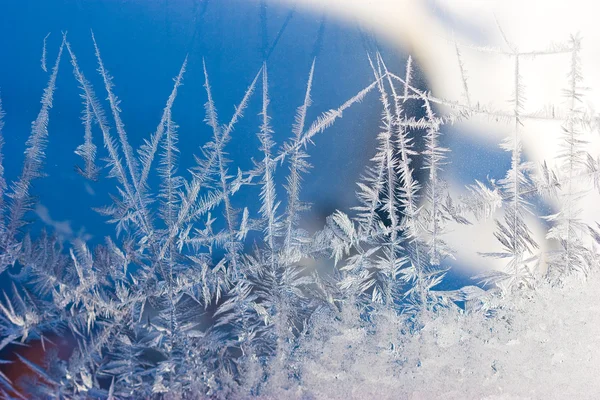 Kışlıklar tasarım — Stok fotoğraf