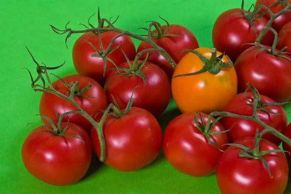 Tomat Royaltyfrie stock-billeder