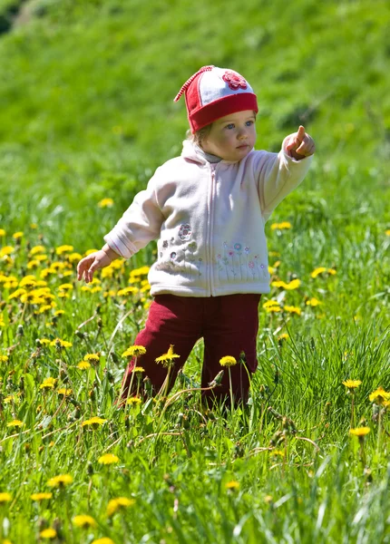 Ребенок на зеленом лугу — стоковое фото