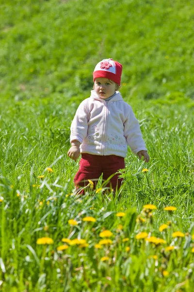 Ребенок на зеленом лугу — стоковое фото