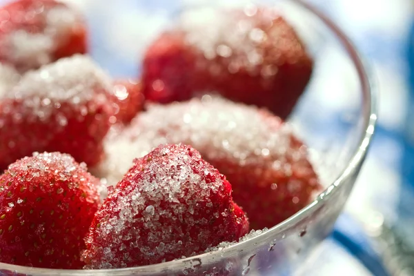 딸기 — 스톡 사진