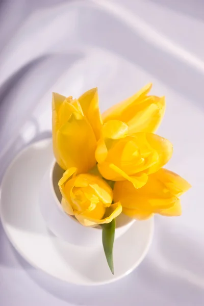 Yallow tulip — Stock Photo, Image