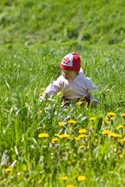 Child on the green meadow — Stock Photo, Image