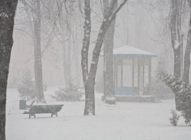 Kar yağışıweather condition