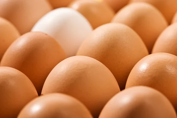 Вкусное яйцо — стоковое фото