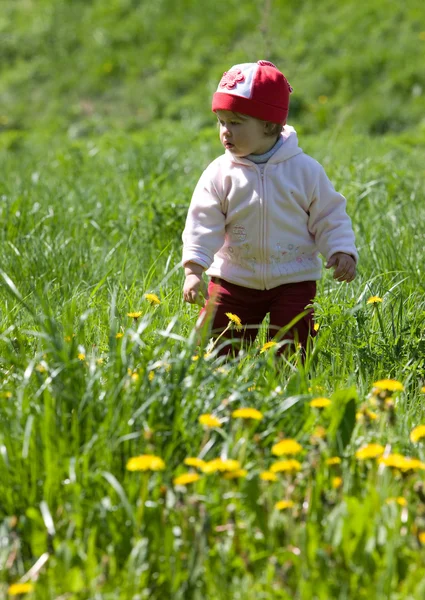 녹색 풀밭에 아이 — 스톡 사진