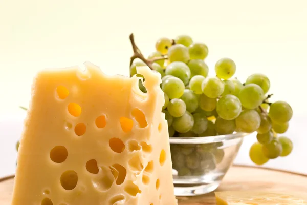 치즈 한 조각 — 스톡 사진