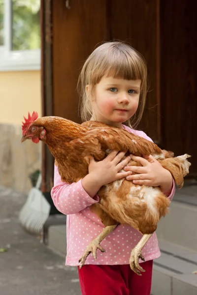 Девушка и курица — стоковое фото