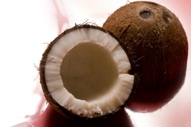 Coconut clipart