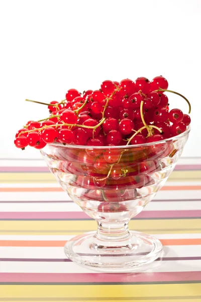 Red currant — Stock Photo, Image