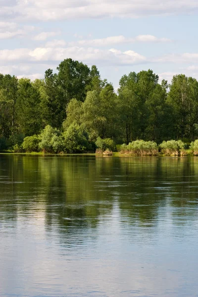River landscape — Stock Photo, Image