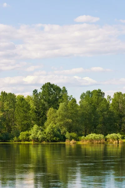 River landscape — Stock Photo, Image