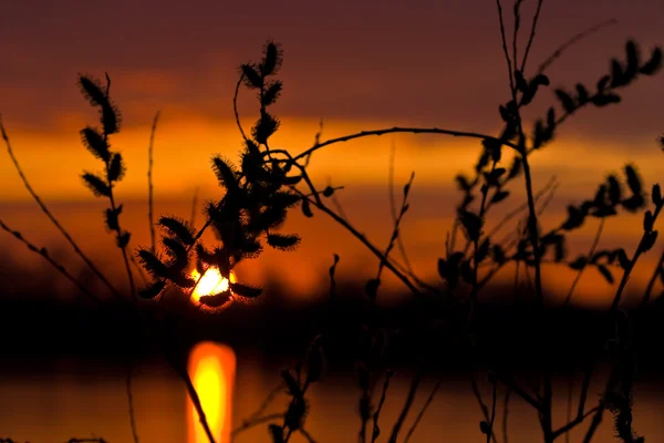 Solnedgång — Stockfoto