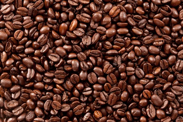 Caffè in grani — Foto Stock