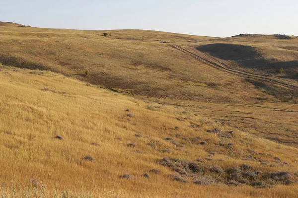 De steppe hill — Stockfoto