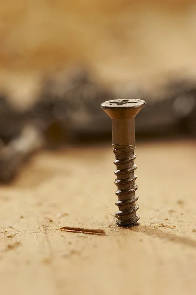 Wood screw — Stock Photo, Image