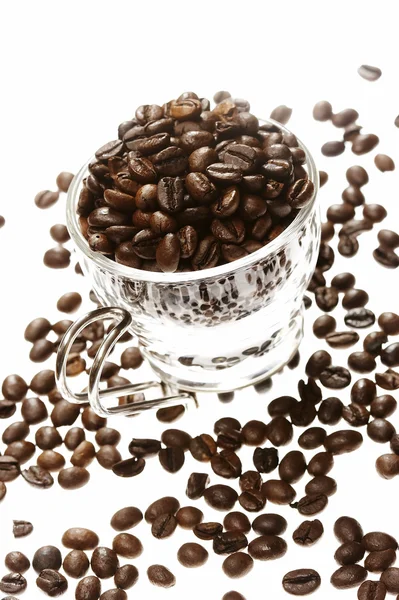 Grano di caffè — Foto Stock