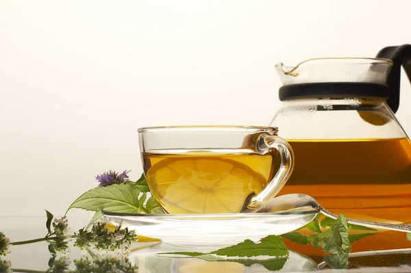 Санативный чай — стоковое фото
