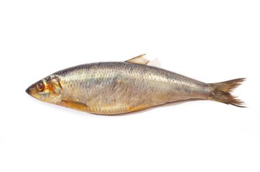 Herring clipart