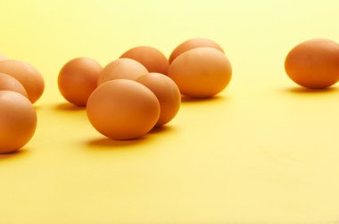 Brown egges clipart