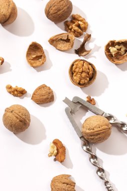 Walnuts clipart