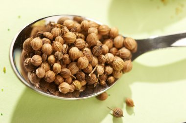 Coriander clipart