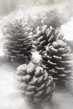Christmas fir cone clipart