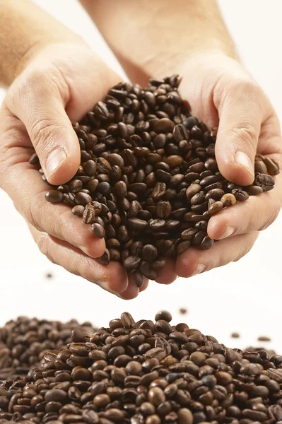 Kávové zrna — Stock fotografie